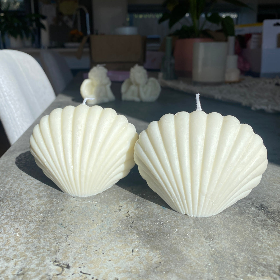 Sale Shells